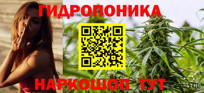 гидропоника Сланцы