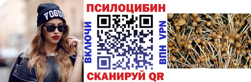 кракен маркетплейс  Черемхово  Галлюциногенные грибы GOLDEN TEACHER 