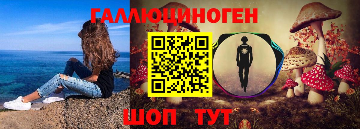Галлюциногенные грибы прущие грибы  Вход с VPN  Черемхово 