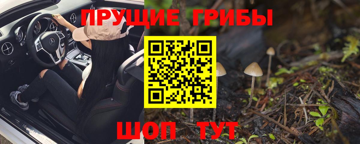 Галлюциногенные грибы ЛСД Черемхово